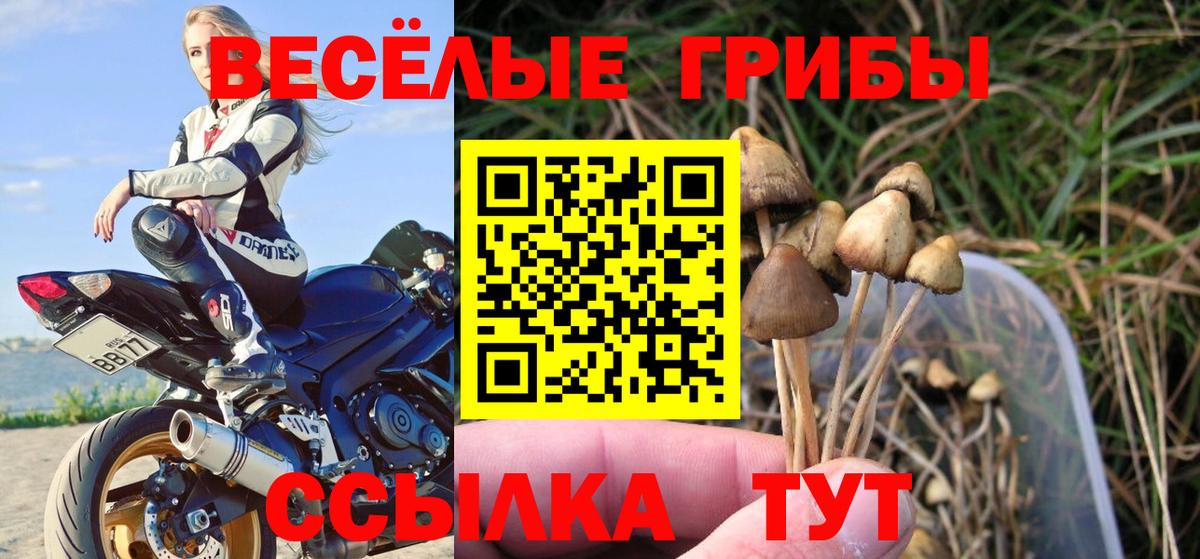 Псилоцибиновые грибы MAGIC MUSHROOMS  Вход с VPN  Лосино-Петровский  как найти закладки  Галлюциногенные грибы ЛСД 