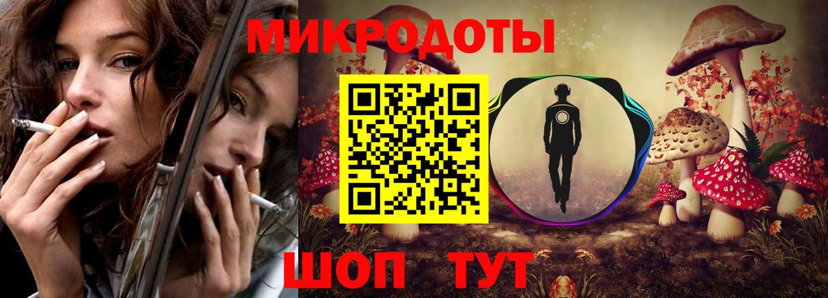 Псилоцибиновые грибы Psilocybe Лосино-Петровский
