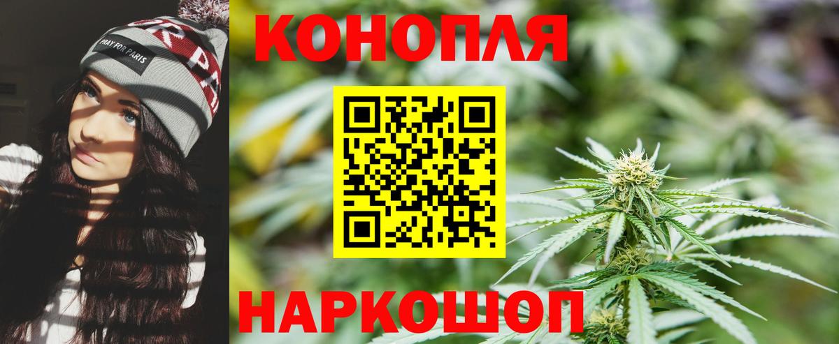 Конопля индика Лосино-Петровский